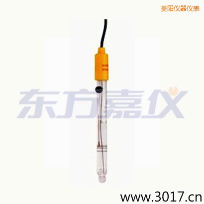 貴陽(yáng)可填充玻璃管電極