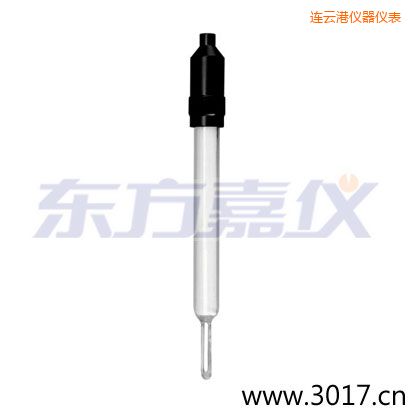 連云港玻璃外殼無溫補兩線電導率電極