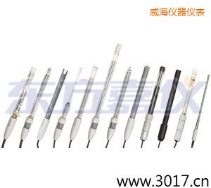 威海離子選擇性電極