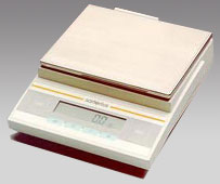 威海電子天平,3100g,0.1g