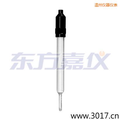 溫州玻璃外殼無溫補(bǔ)兩線電導(dǎo)率電極