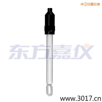 中衛(wèi)玻璃外殼無溫補(bǔ)兩線電導(dǎo)率電極