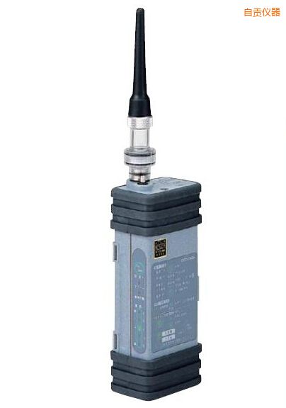 ��ؕ����ʽ���w�z�y��