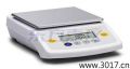 電子天平,610g,10mg